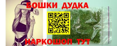 jwh Кингисепп