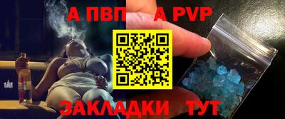 jwh Кингисепп
