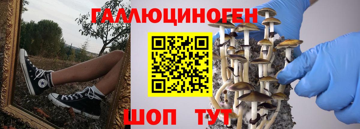 Кострома  Галлюциногенные грибы Cubensis  Псилоцибиновые грибы Psilocybine cubensis  Вход с VPN 